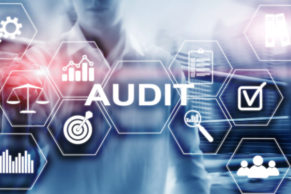 what is seo audit
