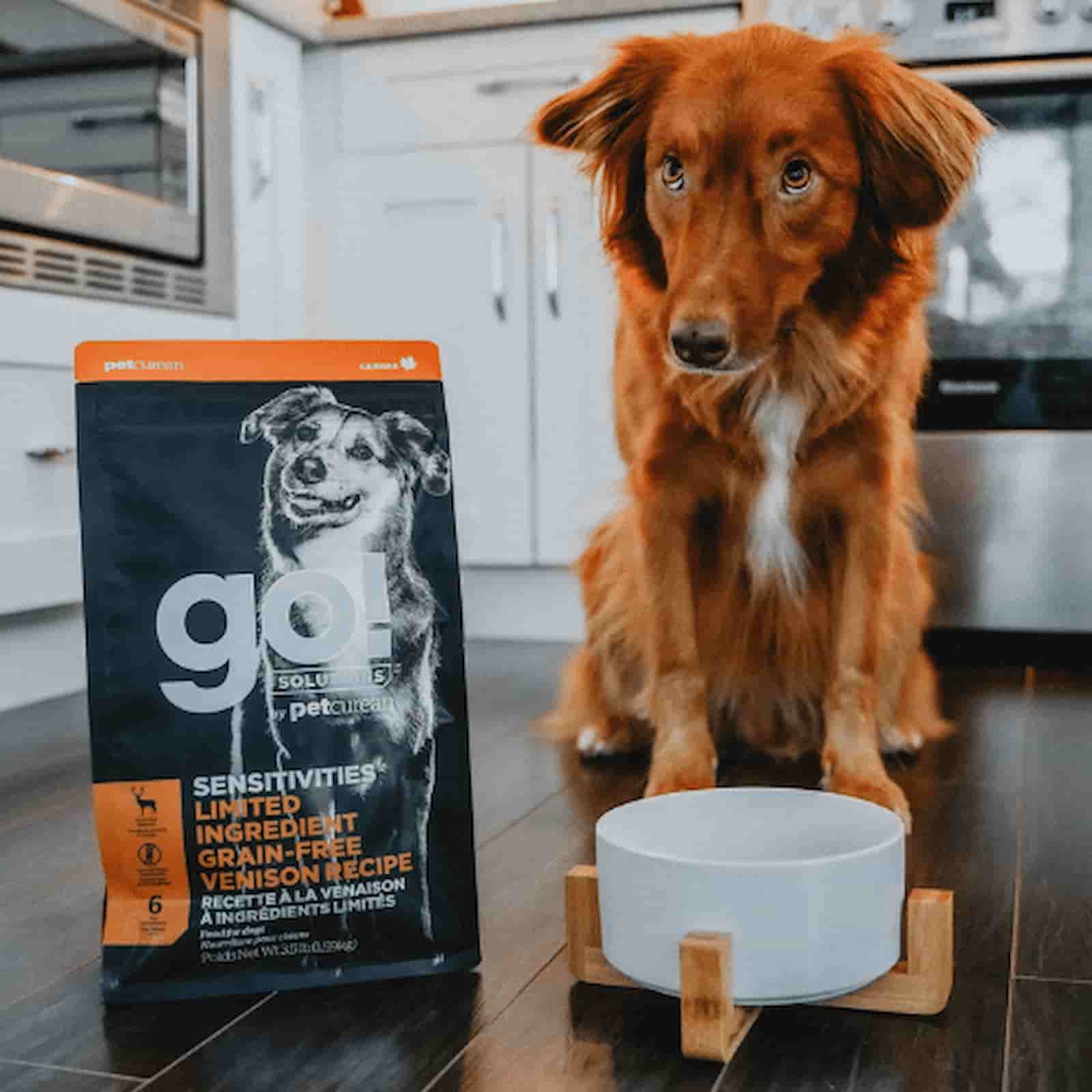 Go! Solutions Sensitivities Limited Ingredient Grain-Free Lamb