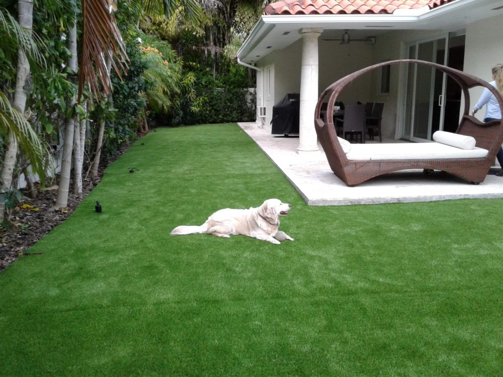 Why Artificial Grass Orlando Homes Love Looks So Natural