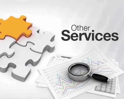 Other Services – SM ASSOCIATES RISK MANAGEMENT PVT. LTD.