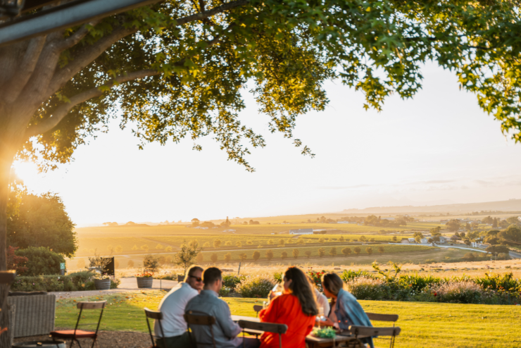 Alto Wine Estate