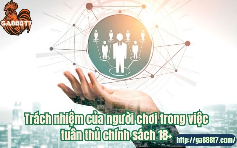 Trách nhiệm của người chơi trong việc tuân thủ chính sách 18+