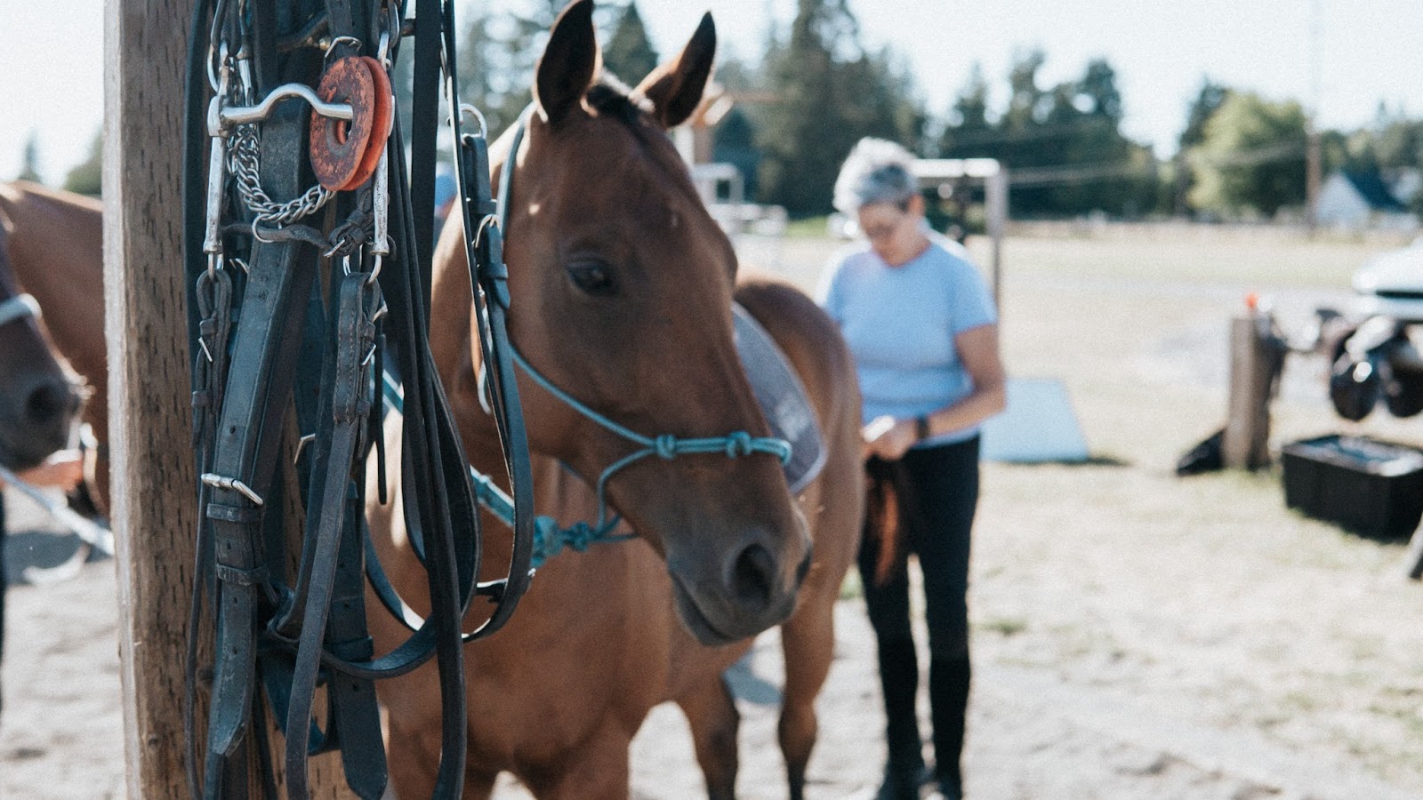 sue willoughby, the founder of willoughby coaching llc, has made it her life’s mission to help women over break free from the constraints that have long held them back, ad