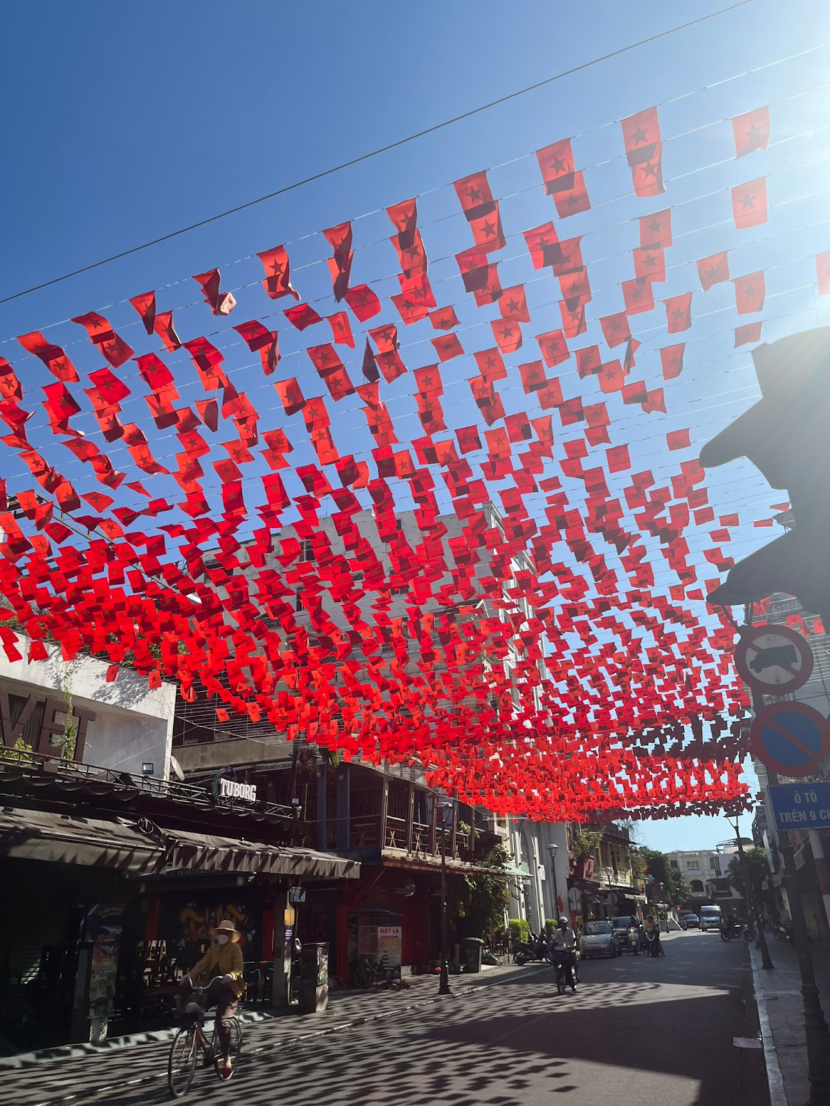 vietnamese flags