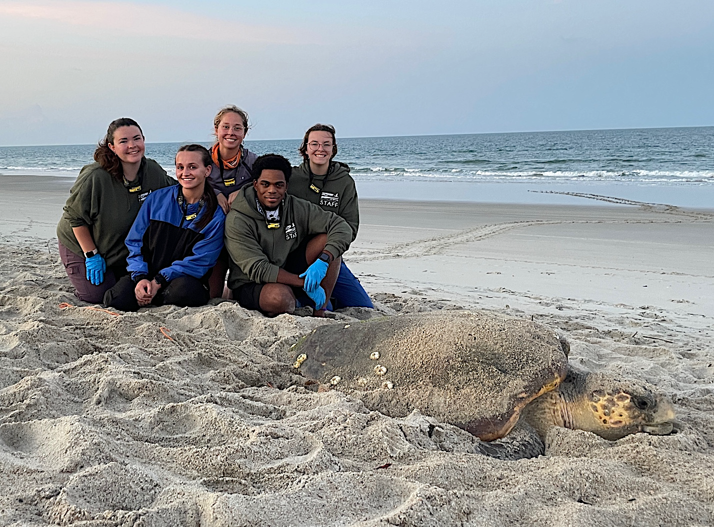 A group of people sitting on a beach with a turtle

Description automatically generated