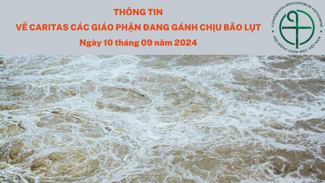 Thông tin về Caritas của các Giáo phận đang gánh chịu bão lụt