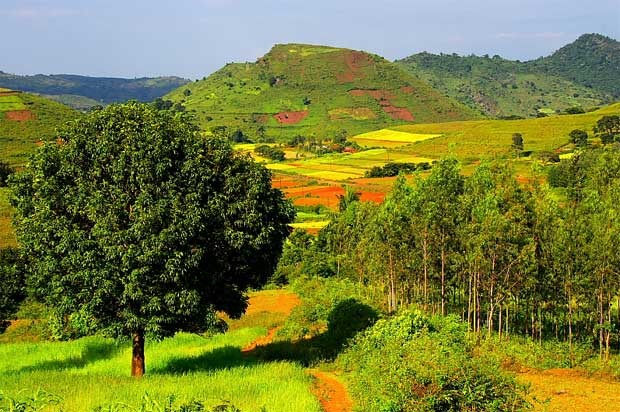 Lush green hills of Araku Valley, Andhra Pradesh, with coffee plantations, waterfalls, and misty landscapes.