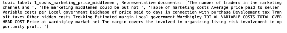 Text snippet with a topic label "1_soshs_marketing_price_middlemen" and representative documents discussing marketing costs, including variable costs, overhead costs, and profit margins. Details include references to local government, specific locations, and potential hidden costs.