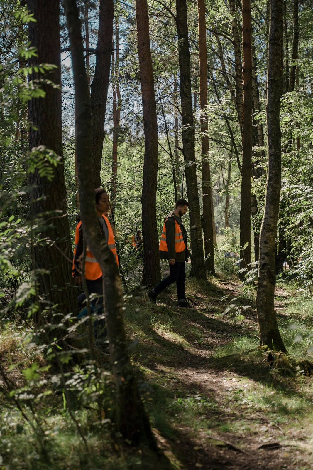 A search party going through the woods | Source: Pexels