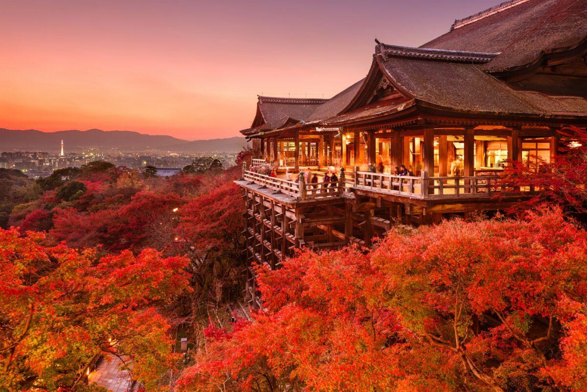 Top 5 Must-Visit Destinations in Japan This January 2025