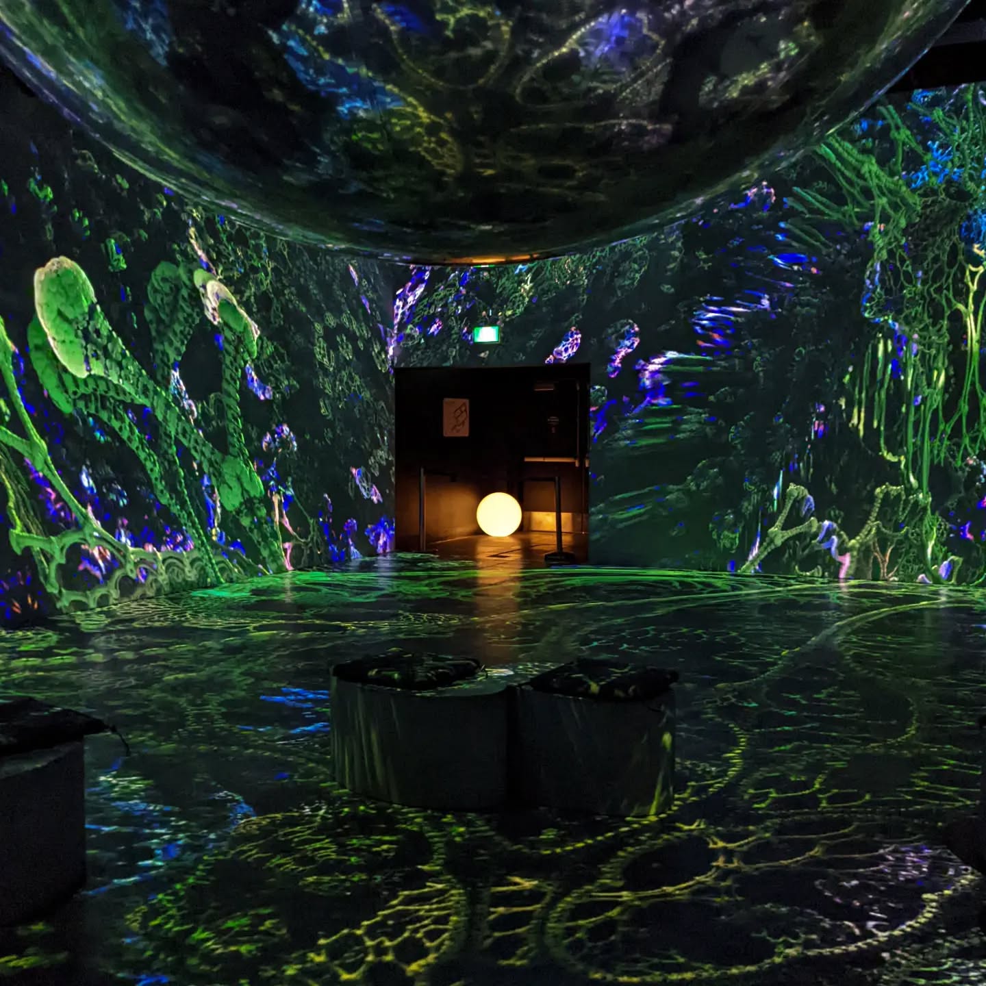 OASIS Immersion