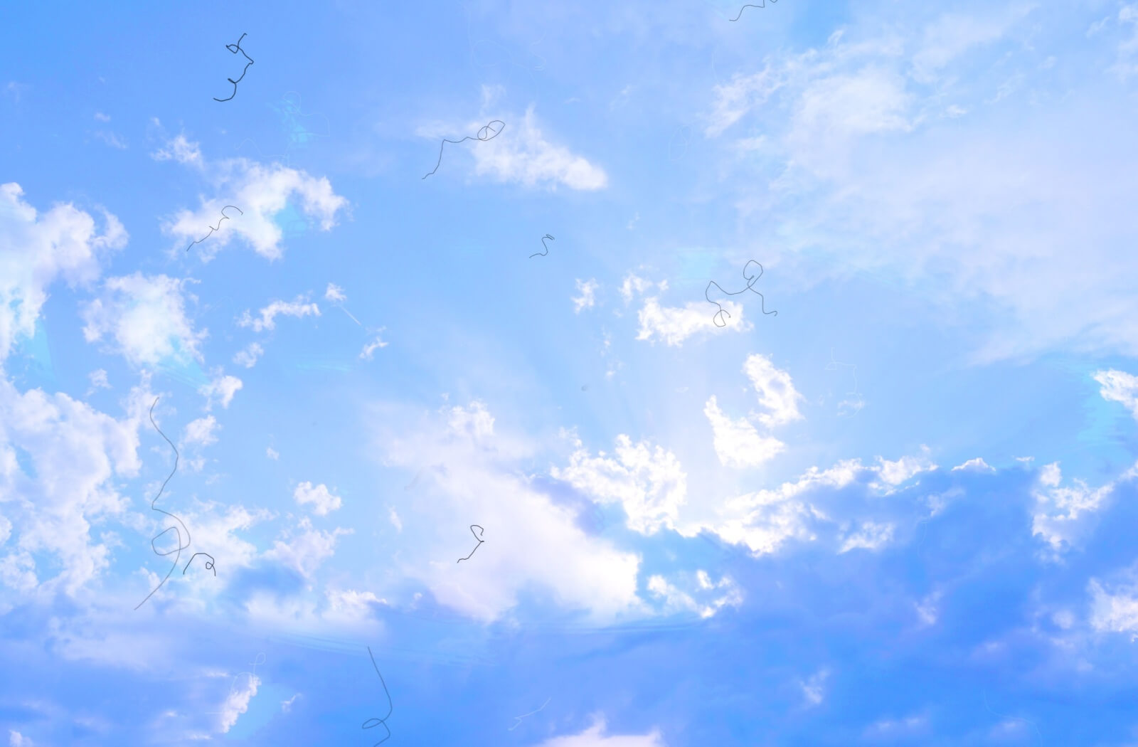 Floaters against a bright blue sky background.