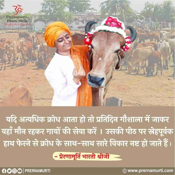 Prernamurti Shriji : Benefits of Gir Cows