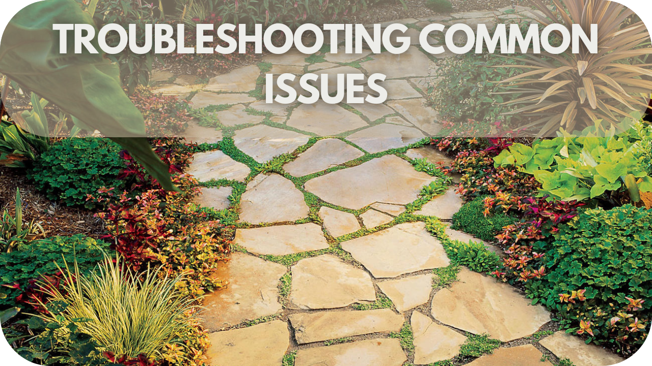 Troubleshooting Common Issues: How To Grow Moss Between Pavers