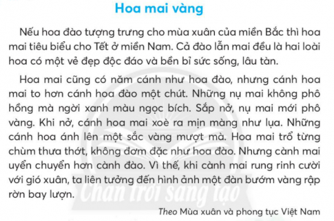 BÀI 4: HOA MAI VÀNGKHỞI ĐỘNGCâu hỏi: Đố bạn về một loài hoa mà em thích:Hoa gì có năm cánh, màu đỏ hoặc hồng, nở vào dịp Tết?Giải nhanh: Hoa đàoKHÁM PHÁ VÀ LUYỆN TẬPCâu 1: Đọc a. Hoa mai và hoa đào có đặc điểm gì giống nhau?b. Hoa mai khác hoa đào ở những điểm nào?c. Chọn từ ngữ phù hợp với mỗi hình ảnh.d. Em thích đặc điểm nào của hoa mai? Vì sao?Trả lời: a. Hoa mai và hoa đào có đặc điểm giống nhau là hai loài hoa có một vè đẹp độc đáo và bền bỉ sức sống, lâu tàn.b. Hoa mai khác hoa đào ở chỗ cánh hoa mai to hơn cánh hoa đào, nụ mai ngời xanh màu ngọc bích, hoa mai trổ từng chùm thưa thớt màu vàng mượt.c. Từ ngữ phù hợp với từng hình ảnh lần lượt là: xanh ngọc bích, mịn màng như lụa, uyển chuyển.d. Em thích nhát ở mai hình ảnh cánh hoa xòe ra mịn màng như lụa. Vì nó giúp em liên tưởng đến những con bướm vàng rập rình bay lượn.Câu 2: Viếta. Nghe - viết: Hoa mai vàng (từ Hoa mai cũng có đến mịn màng như lụa)b. Giải các câu đố sau, biết rằng lời giải đố có chứa tiếng có vần ao hoặc vần oa:Như chiếc khèn nhỏ                              Hoa gì màu đỏCó màu trắng tinh                                  Cánh mượt như nhungCó nhụy xinh xinh                                  Chú gà thoáng trôngHương thơm ngan ngát.                        Tưởng mào mình đấy?        (Là hoa gì?)                                                      (Là hoa gì?)c. Đặt câu để phân biệt các cặp từ sau: chẻ - trẻ, chông - trông, ích - ít, tích - tít.Trả lời: a. Nghe - viết.b.Như chiếc khèn nhỏ                              Hoa gì màu đỏCó màu trắng tinh                                  Cánh mượt như nhungCó nhụy xinh xinh                                  Chú gà thoáng trôngHương thơm ngan ngát.                        Tưởng mào mình đấy?               (Là hoa loa kèn)                                            (Là hoa mào gà)c. chẻ - trẻ:Cây tre được chẻ làm tư.Mẹ em vẫn còn rất trẻ.chông -  trôngChiếc ghế này chông chênh quá!Bác bảo vệ có nhiệm vụ là trông coi xe.ích - ítLợi ích của việc chăm học là hiểu bài hơn.Chỉ còn lại chút lương thực ít ỏi .tích - títTích tiểu thành đại.Xa tít chân trời.Câu 3: Thực hiện các yêu cầu dưới đây:a. Tìm từ ngữ chỉ màu sắc.b. Tìm thêm 3 -4 từ ngữ chỉ màu sắc.Giải nhanh: a. Vàng chanh, nâu đất, xanh lá, đỏ son.b. trắng: trắng  tinh, trắng muốt, trắng bạch, trắng bong,...đỏ: đỏ tươi, đỏ thẫm, đỏ son, đỏ đô,...xanh: xanh lá, xanh da trời, xanh biếc,...vàng: vàng chanh, vàng tươi, vàng đậm,…Câu 4: Đặt câu có từ ngữ chỉ màu sắc của cây cối hoặc con vật.Giải nhanh: - Lá phong có màu đỏ thẫm mỗi khi vào thu.- Con vẹt có bộ lông màu xanh lá điểm thêm chút màu vàng chanh.Câu 5: Kể chuyện a. Nghe kể chuyện.b. Kể từng đoạn của câu chuyện theo tranh và từ ngữ gợi ý dưới tranh.c. Kể lại toàn bộ câu chuyện.Trả lời: Học sinh nghe kể chuyện  Sự tích cá thờn bơnĐã lâu lắm rồi các giống cá sống hỗn độn trong thế giới dưới nước. Chẳng ai thèm chơi với ai, có con lúc thì bơi bên trái, lúc khác lại bơi bên phải, cứ tùy hứng mà bơi. Có con bơi đâm ngang hoặc đứng cản đường của cả một đàn cá. Con nào khỏe thì lấy đuôi đánh một cái là con yếu hơn phải dạt ngang một bên, cá lớn nuốt cá bé mà chẳng hề mảy may suy nghĩ.Các giống cá đồng thanh nói:- Nếu chúng ta có một ông vua thì hay biết chừng nào, vua sẽ dùng pháp luật để giữ công bằng trong chúng ta.Chúng thống nhất là sẽ bầu con cá nào lướt bơi nhanh nhất làm chúa tể loài cá, chúng hy vọng chúa tể sẽ kịp thời đến cứu giúp những con yếu đuối.Tất cả các loài cá bơi vào bờ xếp hàng. Cá măng vẫy đuôi ra hiệu, tất cả các loài cá đều xuất phát. Cá măng lao nhanh như tên bắn, theo sau là cá mòi, cá bống mú, cá măng rổ, cá chép cùng các loài cá khác. Thờn bơi cũng tham dự cuộc bơi với hy vọng cũng bơi được tới đích.Bỗng nhiên có tiếng hô:- Cá mòi dẫn đầu! Cá mòi dẫn đầu rồi!Cá thờn bơn mình dẹt, vốn hay ganh ghét, bơi mãi phía sau, nghe vậy vội lớn tiếng tỏ bất bình:- A… ai… dẫn… đầu?- A… ai… dẫn… đầu?Có tiếng đáp lại:- Cá mòi, cá mòi.Anh chàng tị nạnh lại la:- Co… con mòi ranh con ấy à, co… con mòi ranh con ấy à.Cũng vì lần ấy mà thờn bơn bị trời trừng phạt nên mồm mới méo như ngày nay.Câu 6: Luyện tập thuật lại việc được tham gia a. Nói 4 - 5 câu về một việc làm mà em thích theo gợi ý:Em thích làm việc gì?Em làm việc ấy như thế nào?Em cảm thấy thế nào khi làm việc đó?b. Viết 4 - 5 câu về nội dung em vừa nói.Trả lời:  a. Nói về một việc làm mà em thích:Em thích tưới cây trong vườn.Trước hết, e lấy nước vào doa. Tiếp đến, đi đến tưới cho từng luống rau xanh. Rồi cây hoa, cây ăn quả. Sau cùng là những lọa cây bon sai mà bố em yêu quý.Em cảm thấy rất vui và hạnh phúc khi làm việc đó. Vì em theo dõi từng ngọn cây nhanh cỏ lớn lên từng ngày.b. Viết      Em thích tưới cây trong vườn. Trước hết, e lấy nước vào doa. Tiếp đến, đi đến tưới cho từng luống rau xanh. Rồi cây hoa, cây ăn quả. Sau cùng là những lọa cây bon sai mà bố em yêu quý. Em cảm thấy rất vui và hạnh phúc khi làm việc đó. Vì em theo dõi từng ngọn cây nhanh cỏ lớn lên từng ngày.VẬN DỤNG