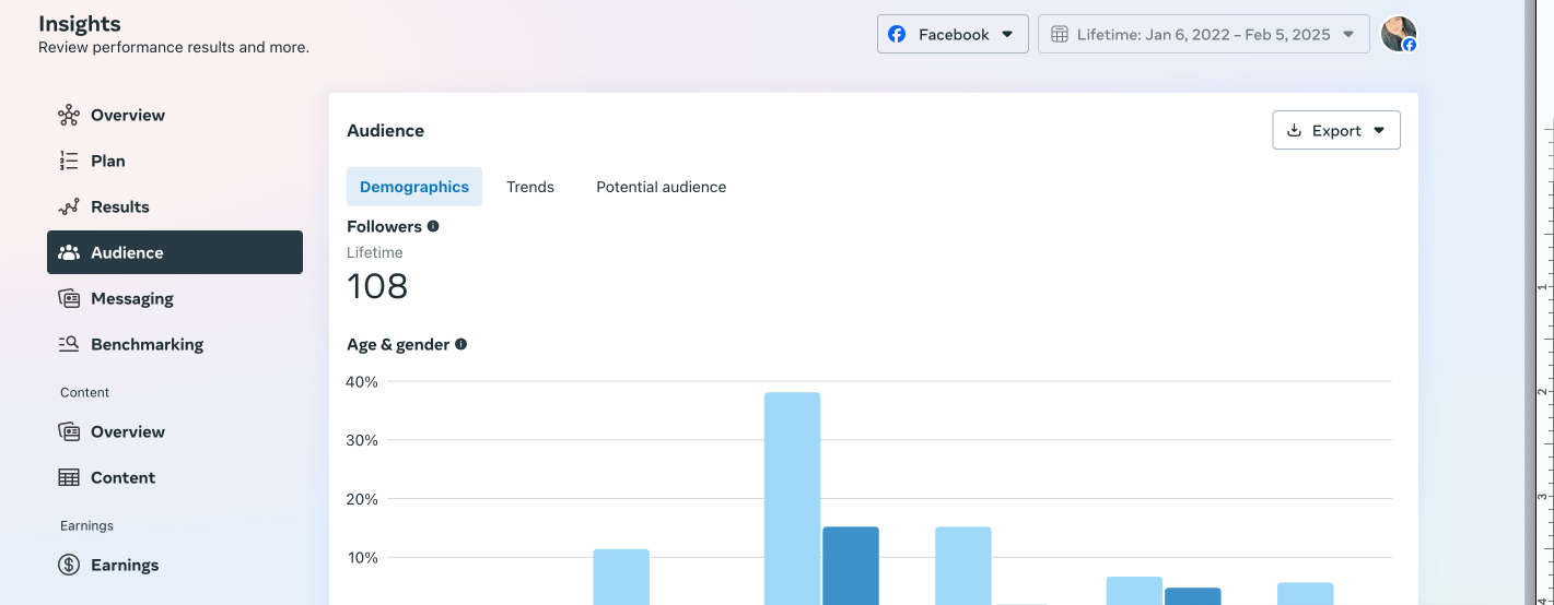 Access Insights in Facebook Ads Manager