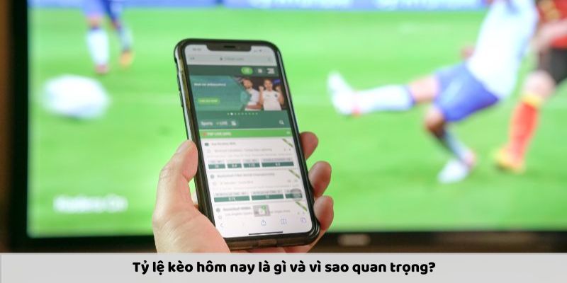 Tỷ lệ kèo hôm nay là gì và vì sao quan trọng?