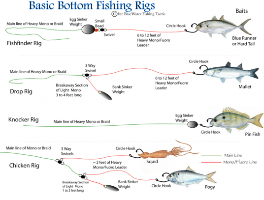 How to Rig for Bottom Fishing in Saltwater: Expert Tips