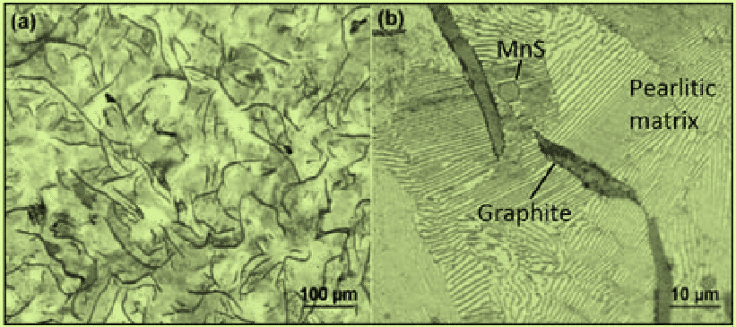 Grey-iron-grade-250-with-pearlitic-matrix-graphite-particles-and-MnS-inclusions-see.png