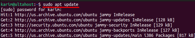 Ubuntu terminal showing sudo apt update command and its output

