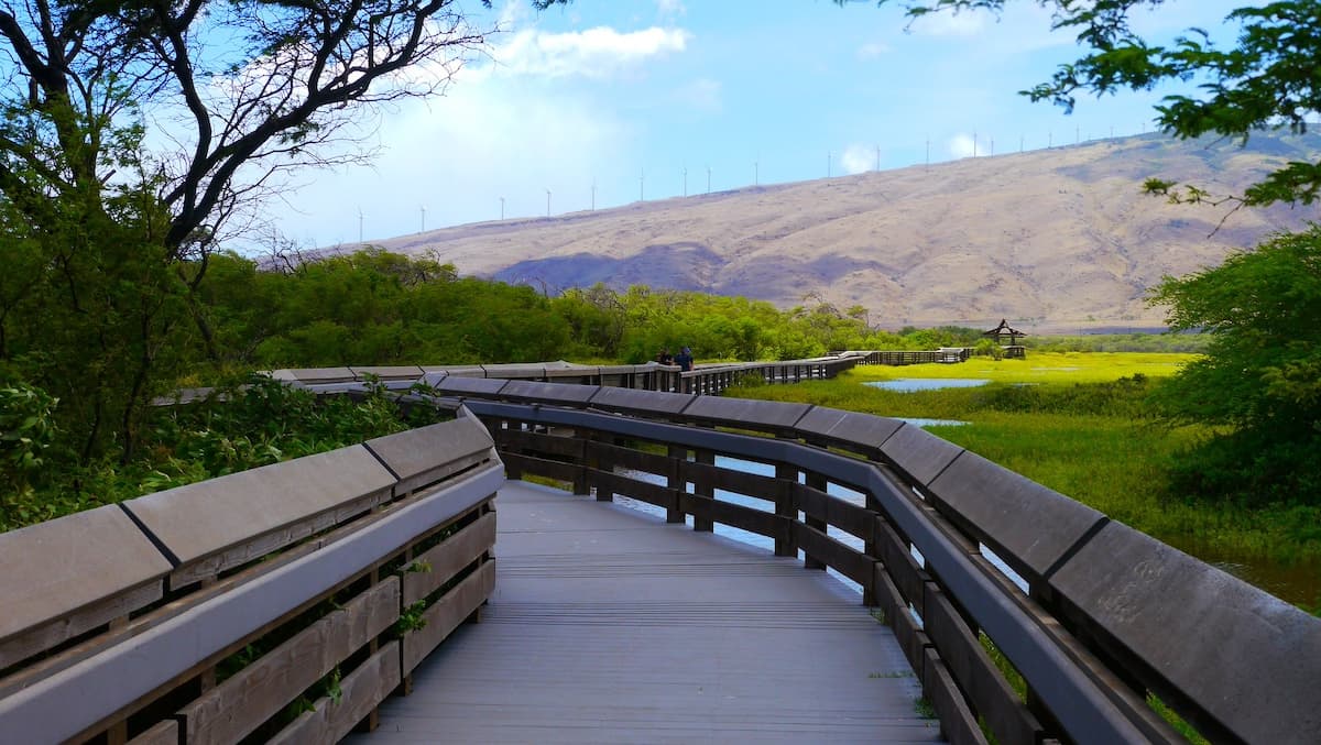 Kealia Pond National Wildlife Refuge in Maui, Hawaii