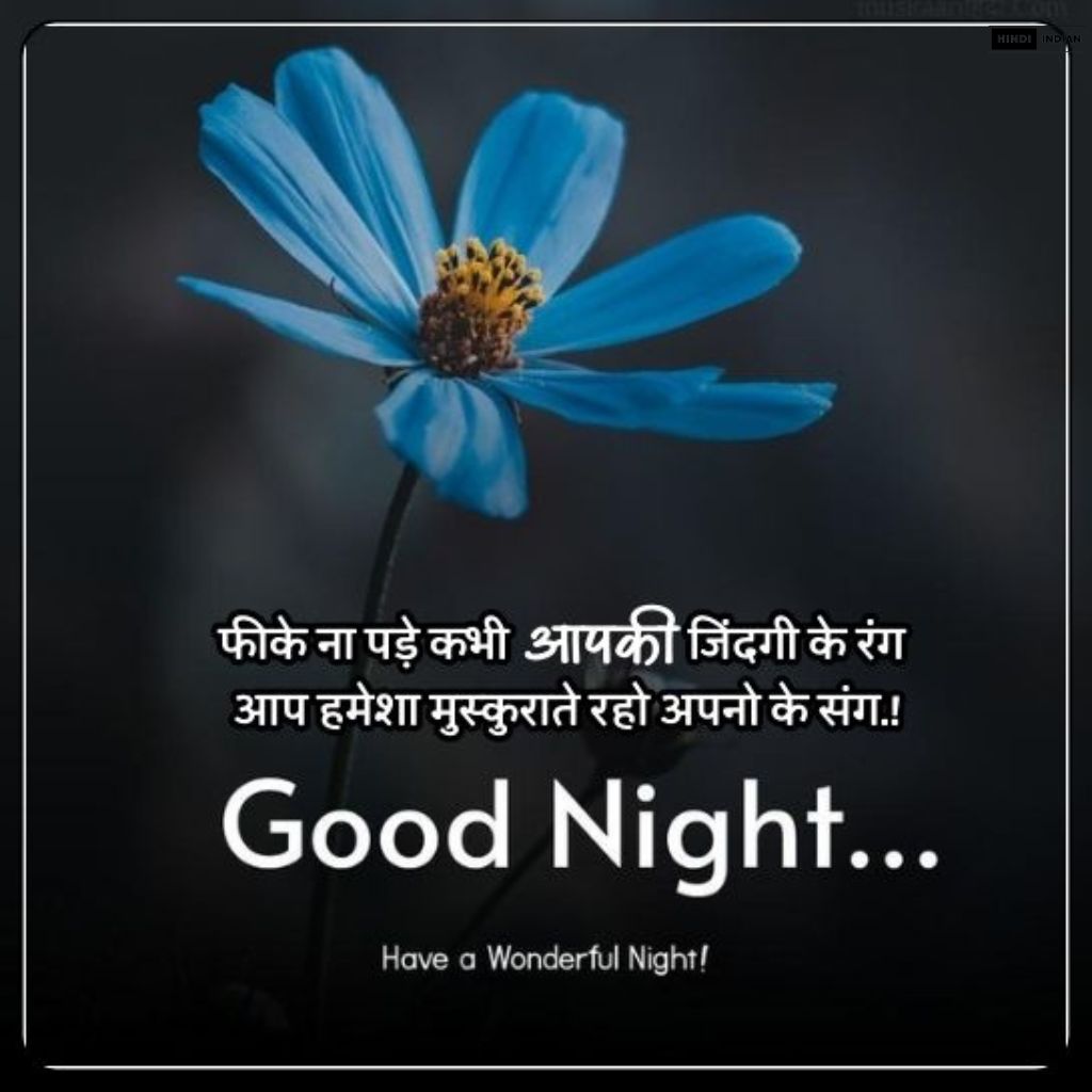 Good Night Quotes in Hindi [HD Photos] | शुभ रात्रि सुविचार