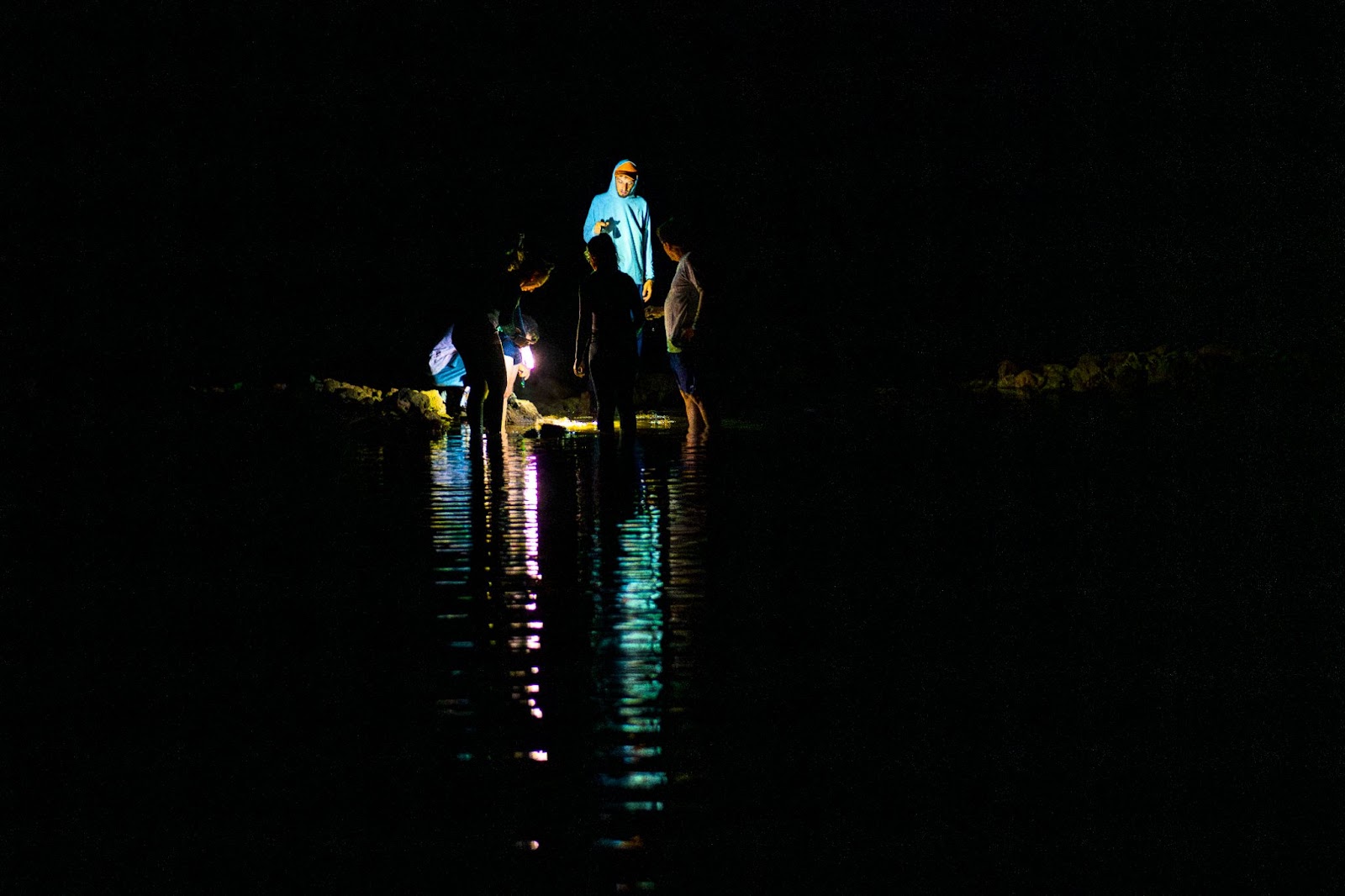 A imagem mostra a caminhada noturna guiada por Gabriel Ruschi, na Praia da Biologia, com os participantes observando a fauna local