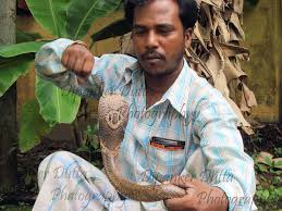 Siliguri: - Snake - Venom - Confiscated - By - The - Police -  Authoritie