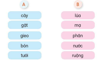 BÀI 30: CÁNH ĐỒNG QUÊ EM (6 tiết)TIẾT 4: LUYỆN TỪ VÀ CÂU