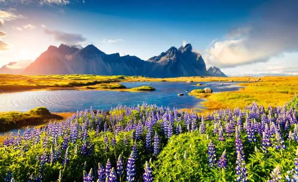 A Glimpse into Nature: 12 Peaceful Landscapes, nature glimpse, peaceful landscapes, nature, forest, landscape, outdoor serenity, scenic photos