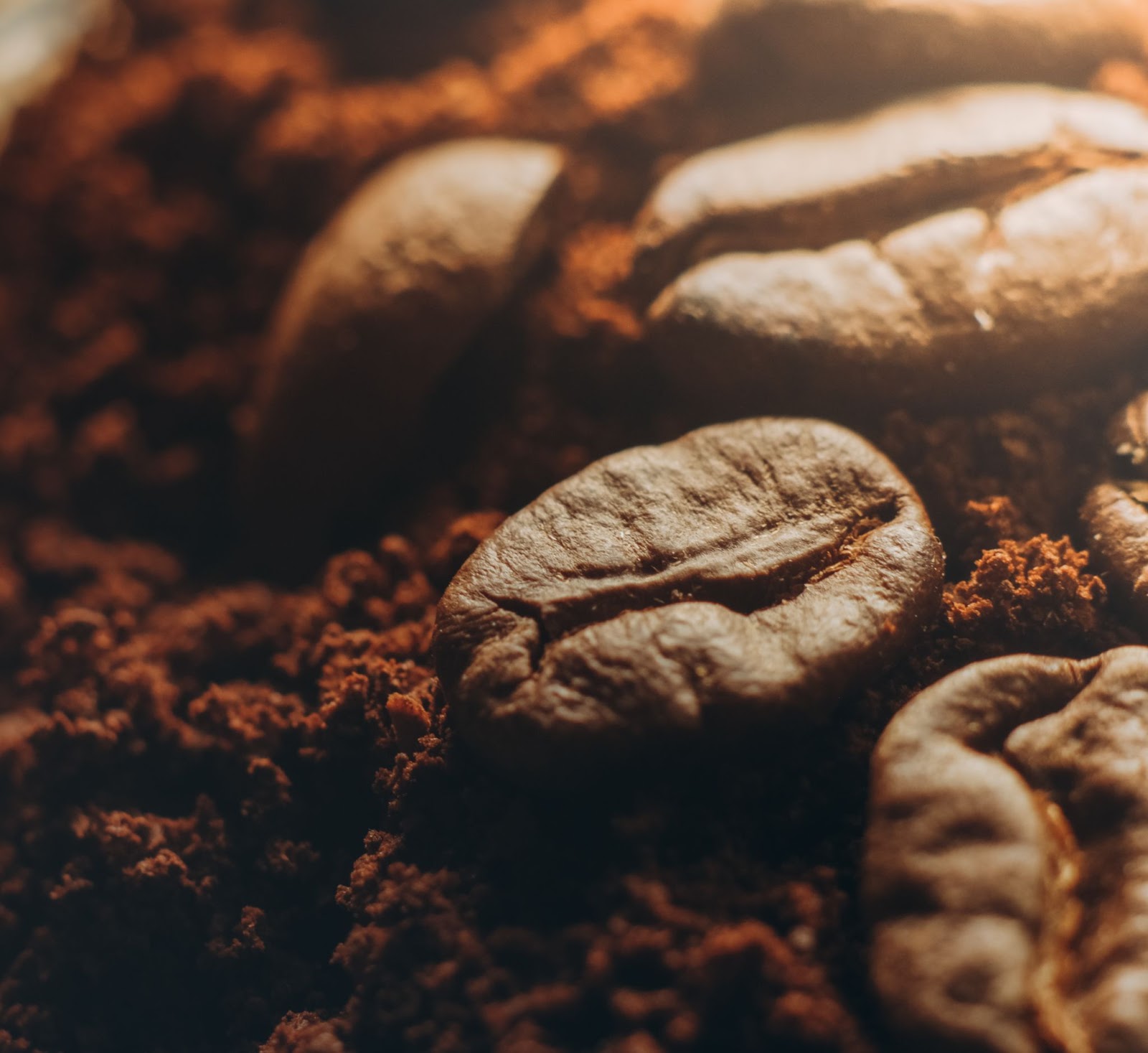 coffee seeds and powder