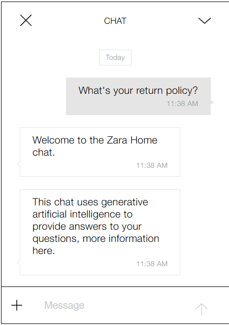 Zara AI chat assistant.