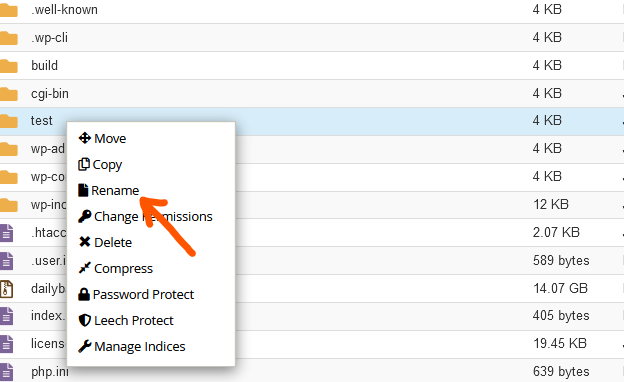 rename files and folders in cPanel