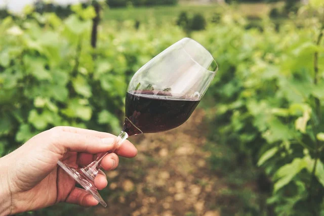 hand holding clear glass of wine