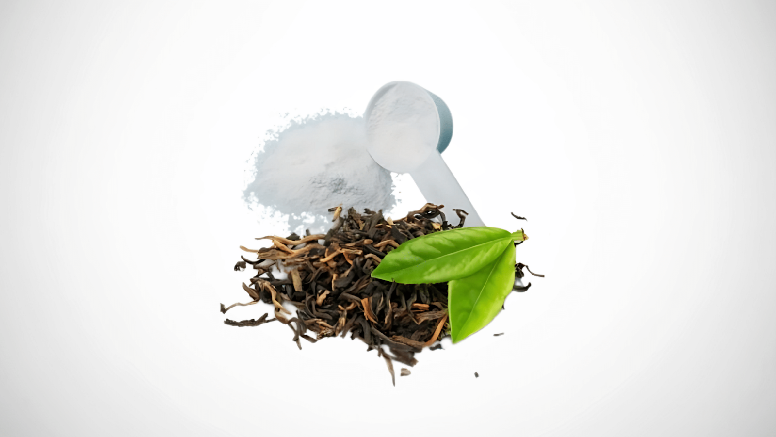  What Is L-Theanine
