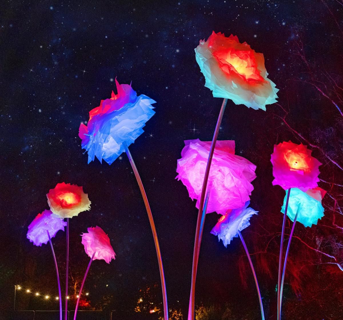 lightscape