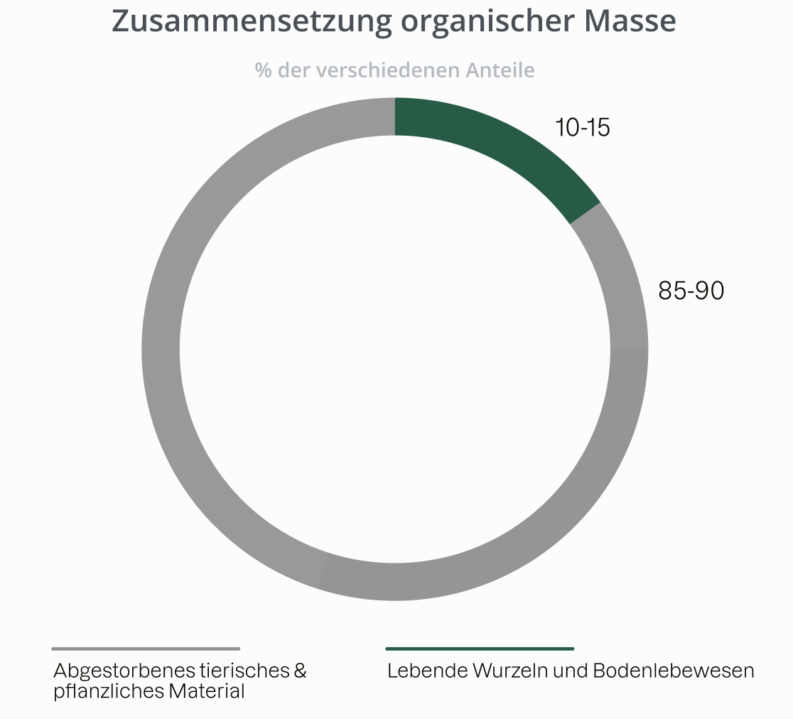 Kreisdiagramm: Anteil lebender pflanzlicher und tierischer Masse an organischem Material im Boden