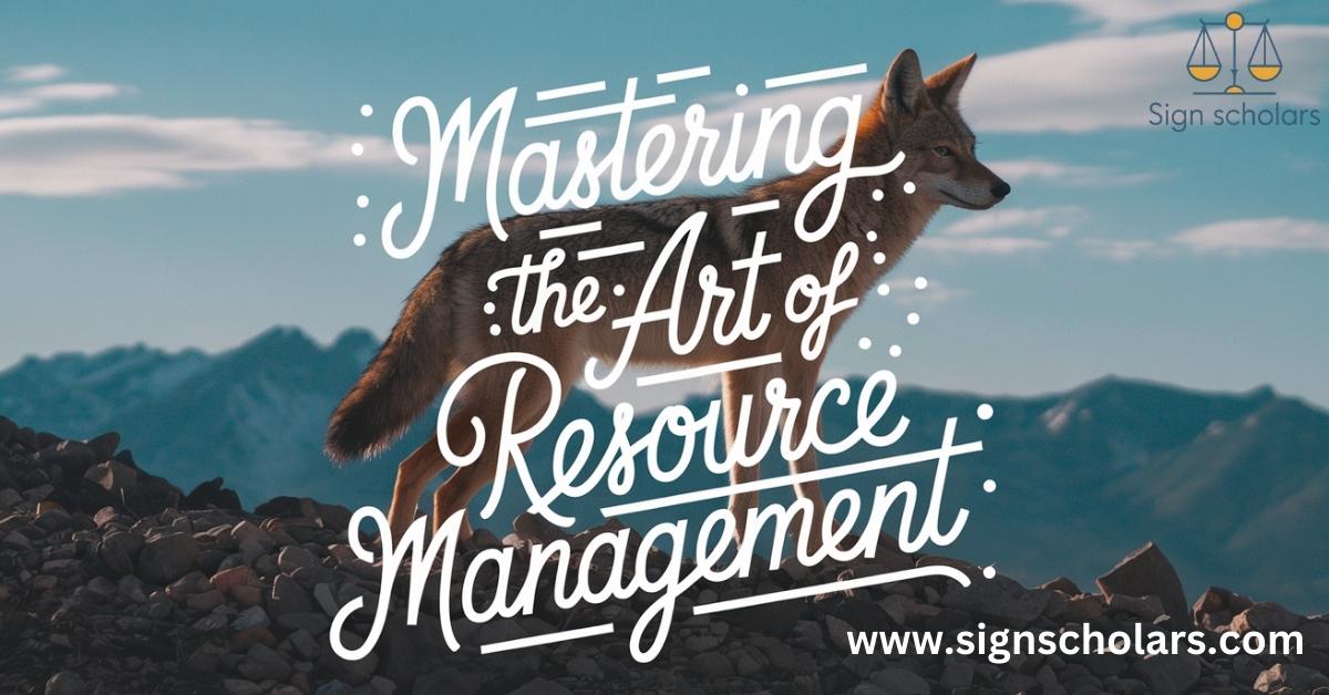 Mastering the Art of Resource Management