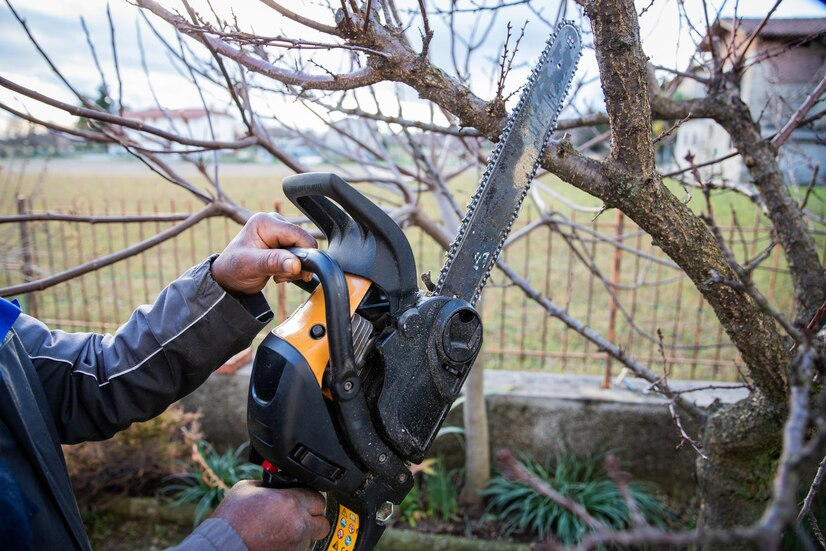 Important Factors To Consider For Hiring The Tree Service