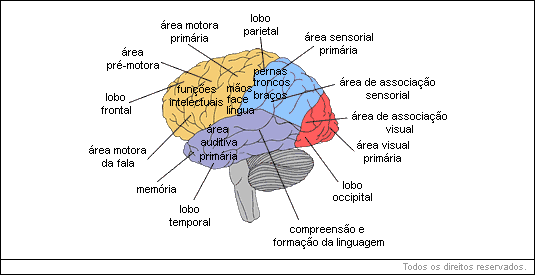 http://www.educabras.com/media/emtudo_img/upload/_img/20141215_061638.gif