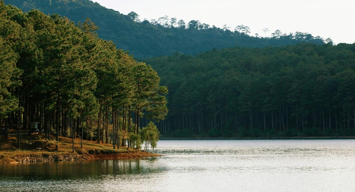 A lake with trees in the background

AI-generated content may be incorrect.