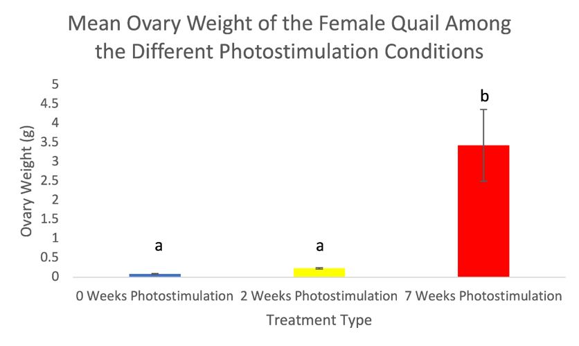 A graph of a person with red and yellow squares

Description automatically generated