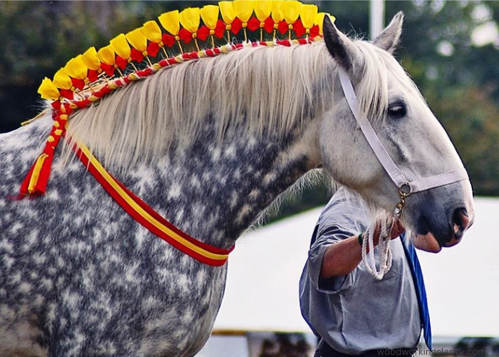 Traditional Decorative Braids