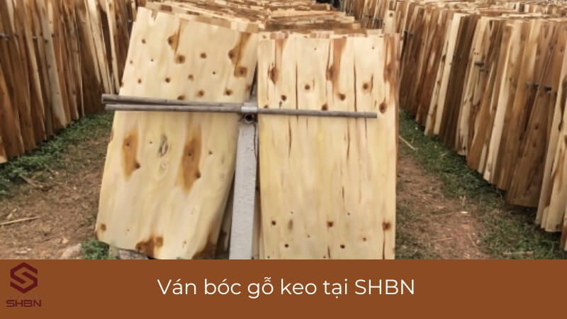 Giá ván bóc gỗ keo