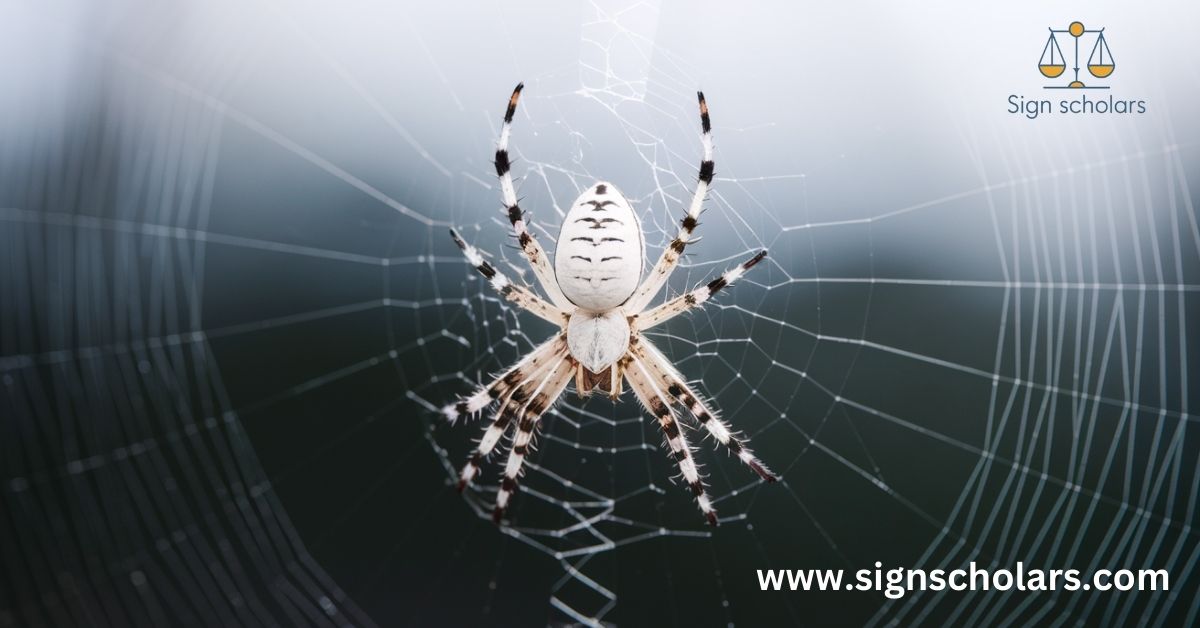 13 Spiritual Meanings of Encountering a White Spider