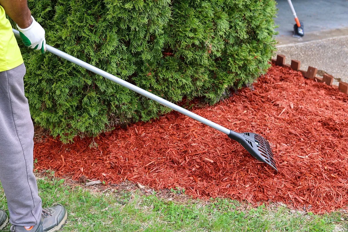 Benefits of Using Mulch Glue