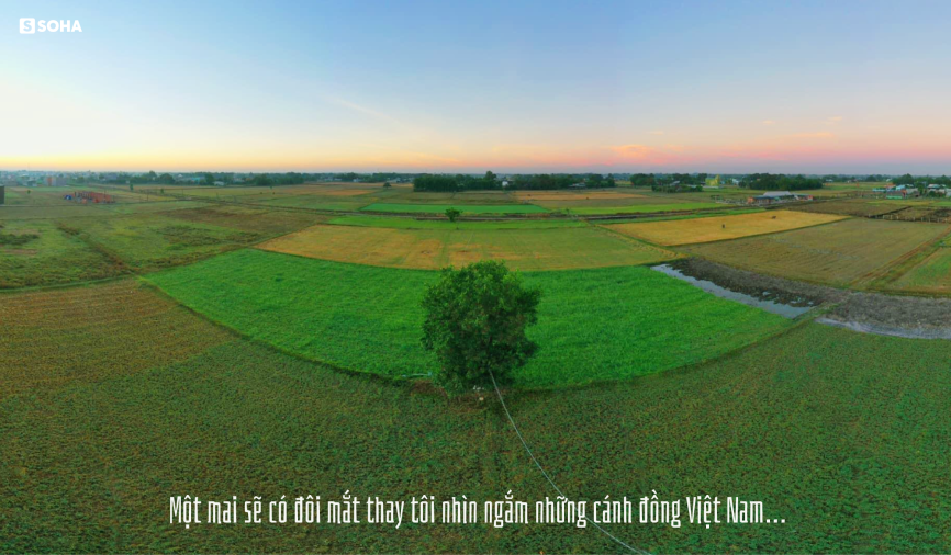 GS Võ Tòng Xuân: “Đừng đổ lỗi cho Trung Quốc nữa, chính chúng ta đang cãi trời” - Ảnh 13.