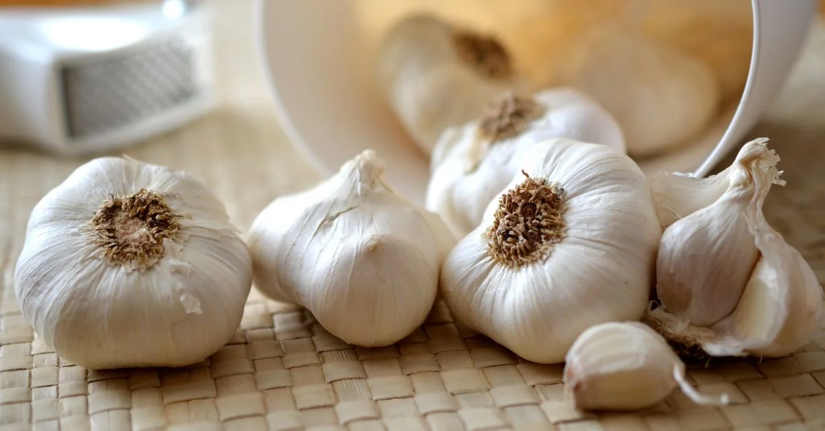 Culinary Uses of Garlic