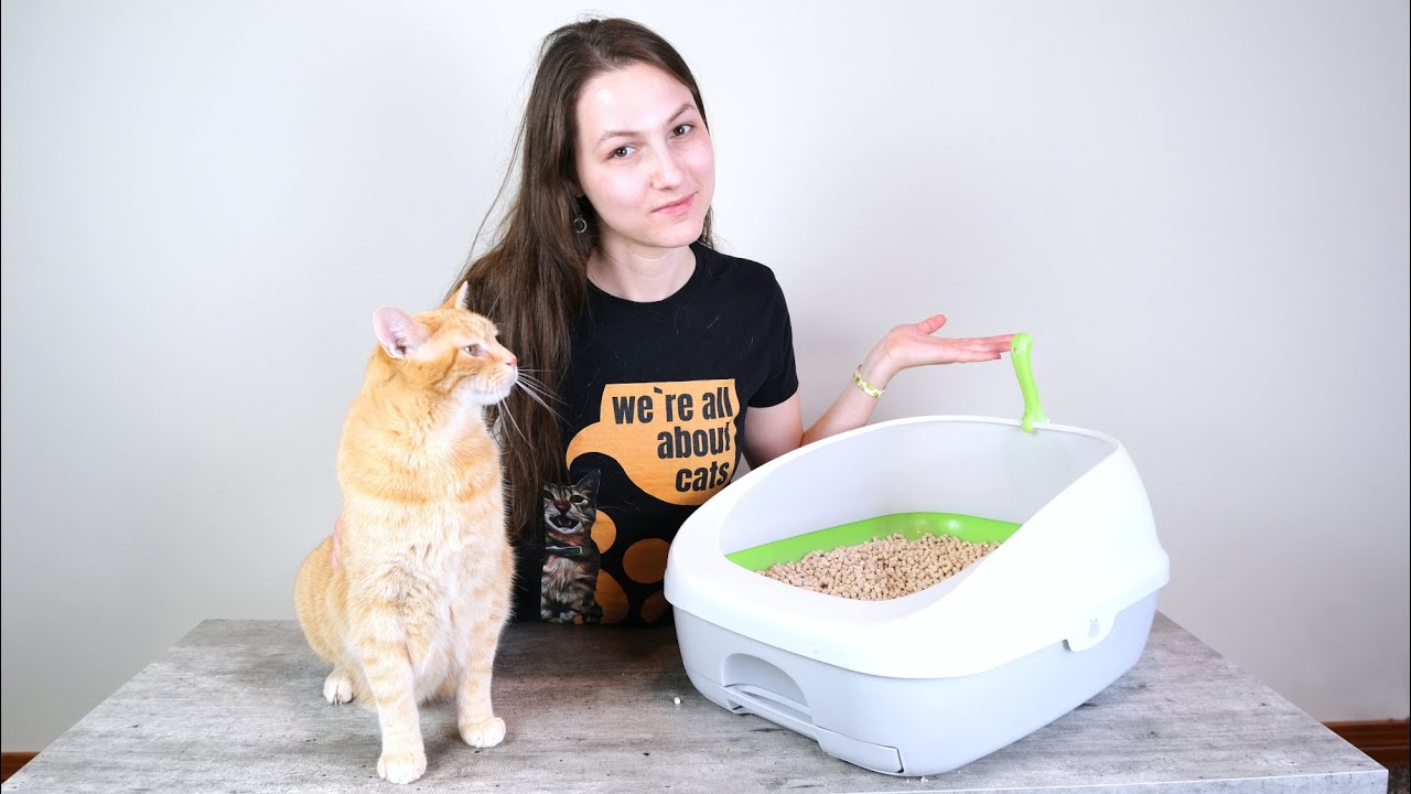 Breeze Cat Litter Reviews: Unveil Feline Freshness!