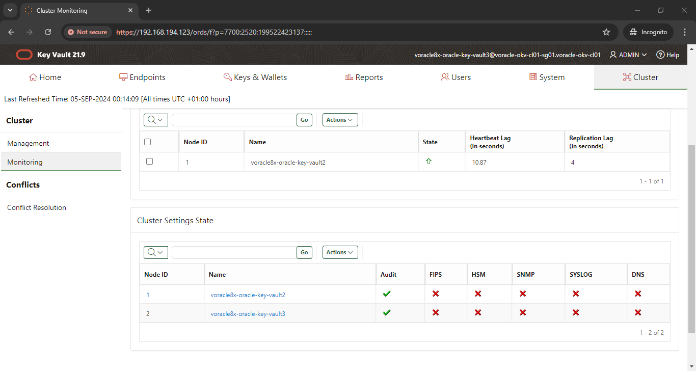 Cluster Monitoring - Google Chrome